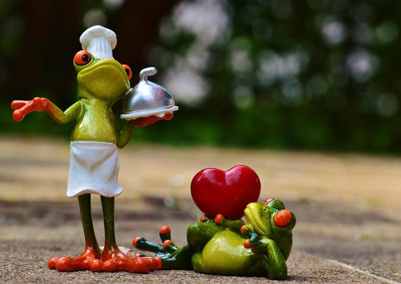Gourmet Catering Services